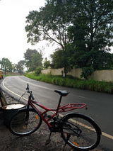Jinson Chacko review photo