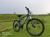 A singha review photo