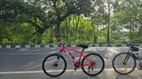 Anish Kondilkar review photo