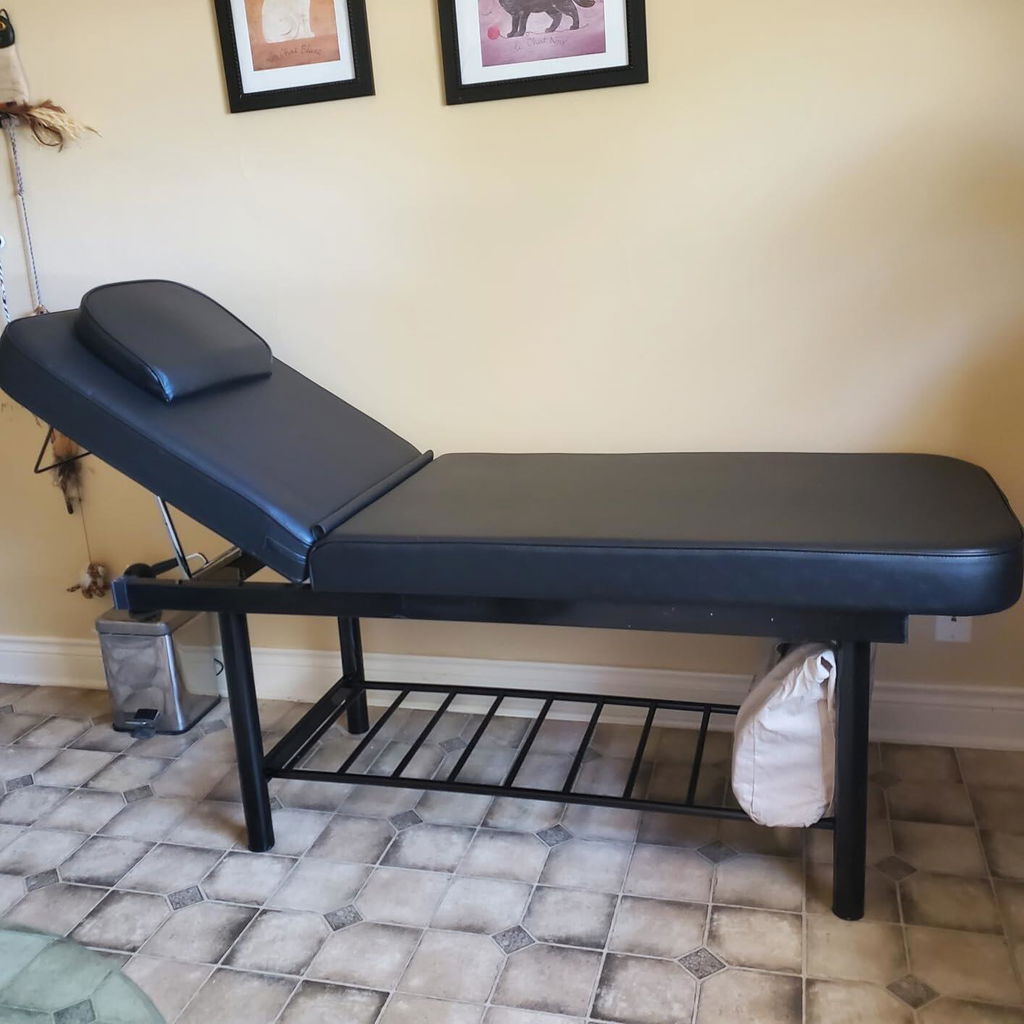 OmySalon MTB 72in Professional Stationary Physical Therapy Massage Table with Adjustable Backrest & Removable Headrest