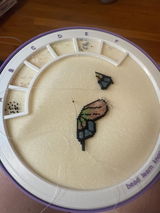 Etsy customer review photo