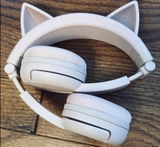 Kait12 review photo