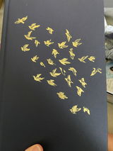 S.A. review photo
