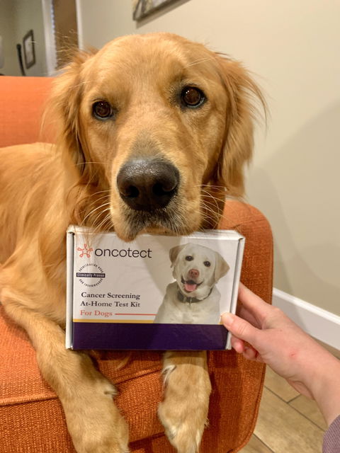 Cancer Screening Test for Dogs - Premium