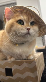 の. review photo