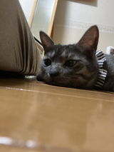 匿名 review photo