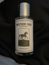 Ismail M. review photo