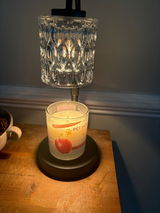 Jeri Del Vecchio Mosnick review photo