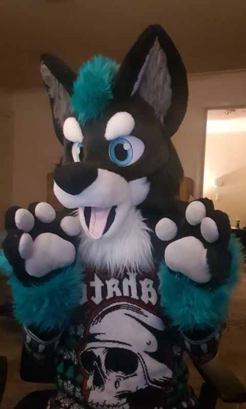 Turquoise Wolf Husky Fursuit Head, Hand Paws, Tail - size XL, PREMADE, UA