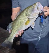 Brandon review photo