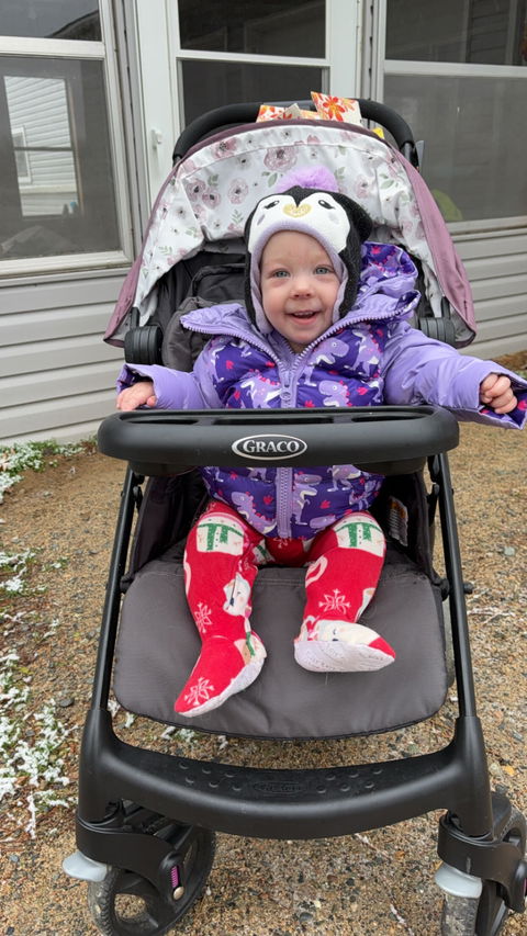 Car Seat Coat | The Road Coat Down - Purple Raptor Print