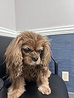 Amazon Customer review photo