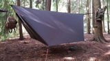 Richard Daws review photo