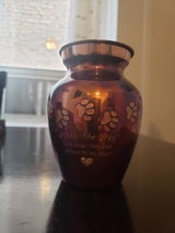 Debra B. review photo