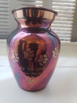 Debra B. review photo