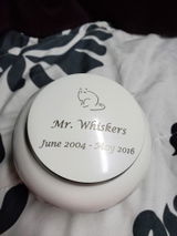 Melissa H. review photo