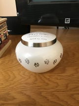 Donna M. review photo