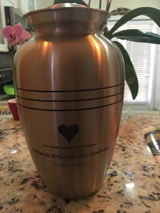 Ariane M. review photo