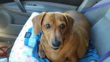Gail L. review photo