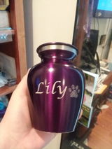 Lisa J. review photo