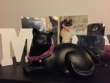Alia E. review photo