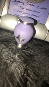 Jamisha D. review photo