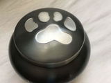 Steve L. review photo