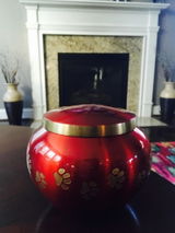Asharani B. review photo