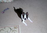 Annette R. review photo