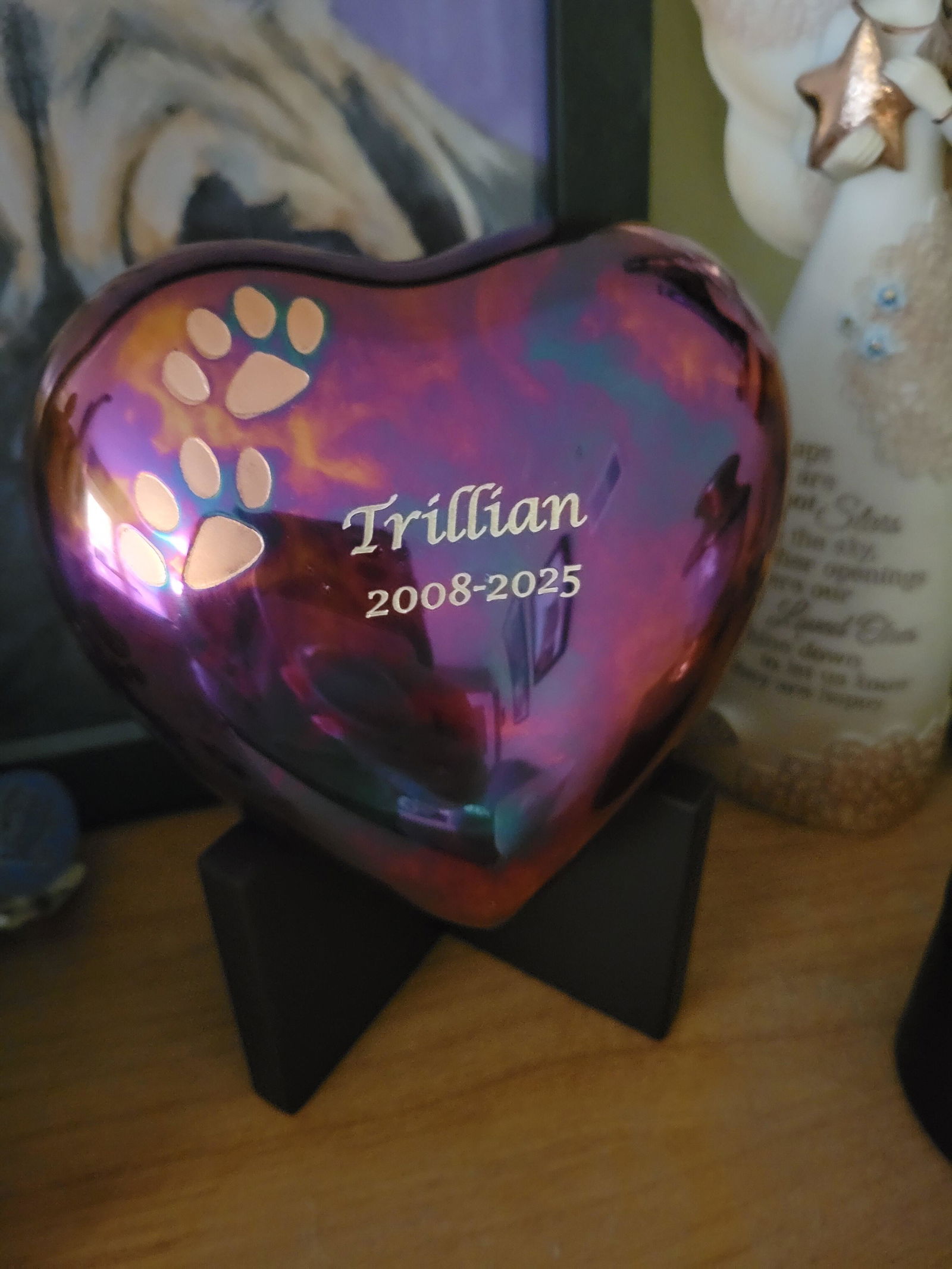 Arielle Pink Pet Paw Heart Keepsake | OneWorld Memorials