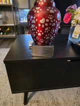 GWENDLYN C. review photo