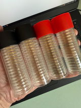 MATT V. review photo