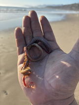 Rene Munoz review photo