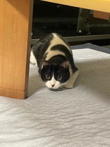 キキちゃん review photo