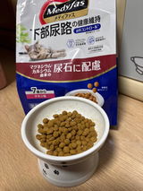 UCHIRO★猫 review photo