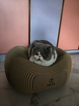 Jengo review photo