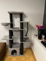 Morgane S. review photo