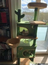 Margot P. review photo