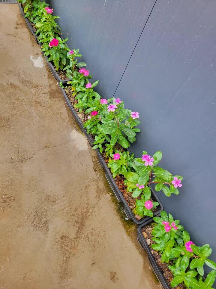 Customer photo 1