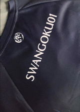 Swangoku01 review photo