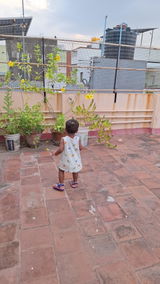 Premium Watermelon Jellies Flip-flops - Navy Blue (Unisex)