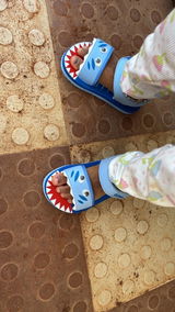 Premium Shark Artistic Sandals - RoyalBlue (Unisex)