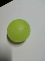 Floris V. review photo