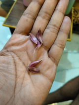 Rahul Kumar review photo