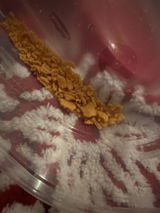 Praveen K.M. review photo