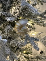 Beth Poteet review photo