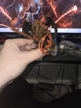 Nicolas W review photo