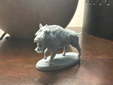 Isaiah M review photo