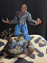 David S review photo