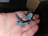 Lauren H review photo